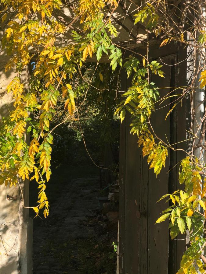 Dans Un Cadre Exceptionnel, Ferme Renovee A 17Km De Paris Villa Boissy-Saint-Léger Eksteriør billede